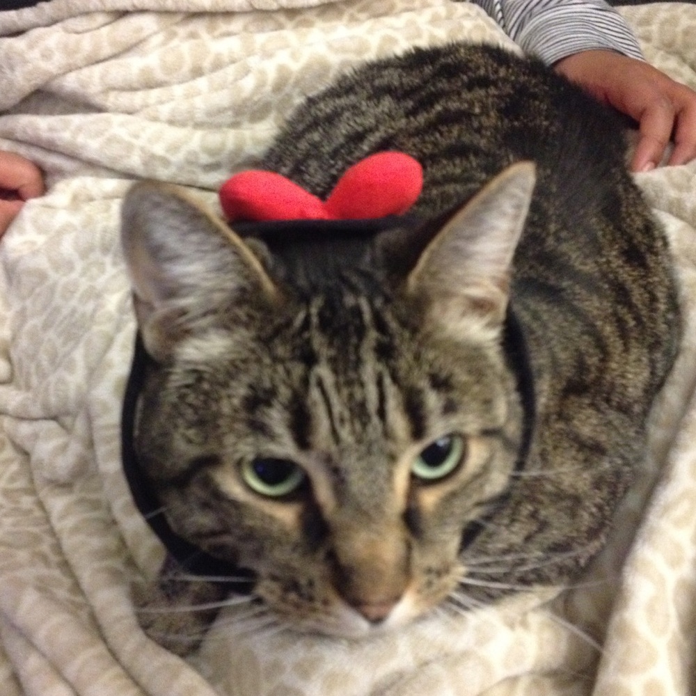 Meet your Posher, Mark